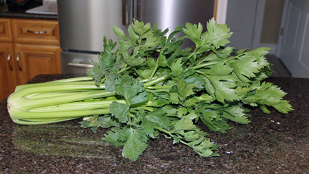 Garden grown celery