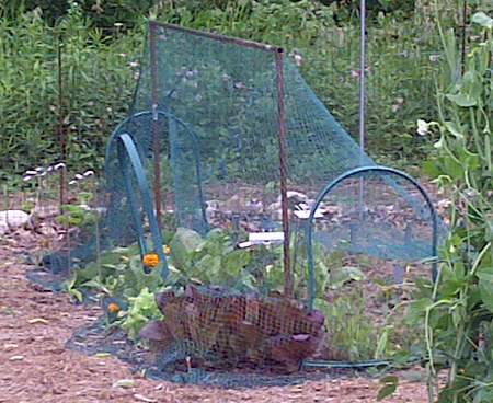 garden netting for rabbits and deer