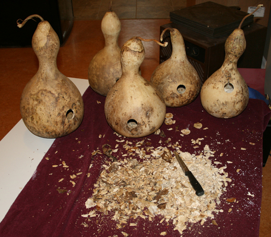 Cutting the gourds