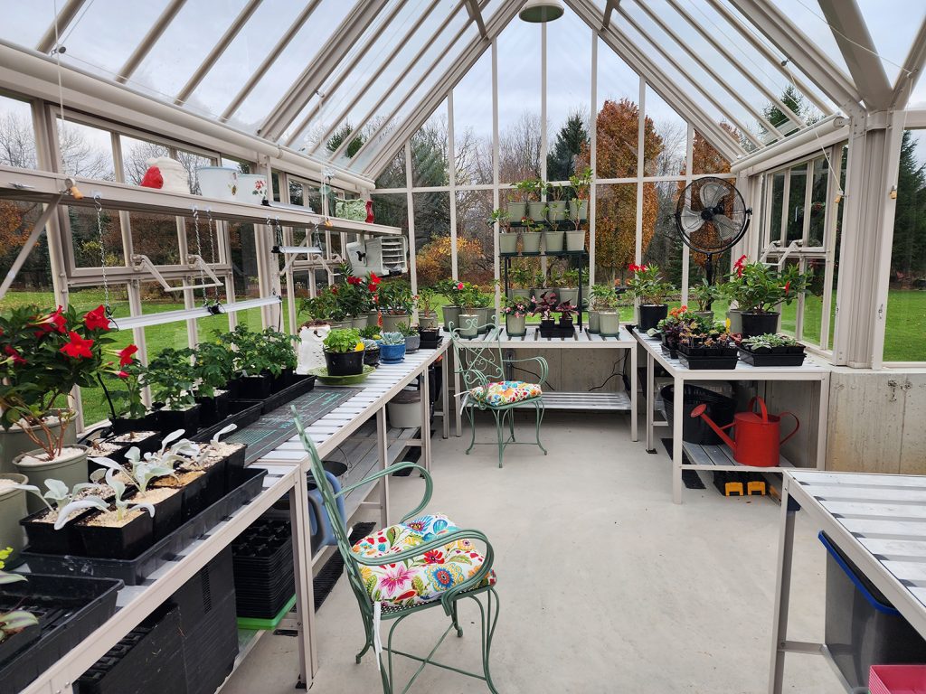 greenhouse plants November 23