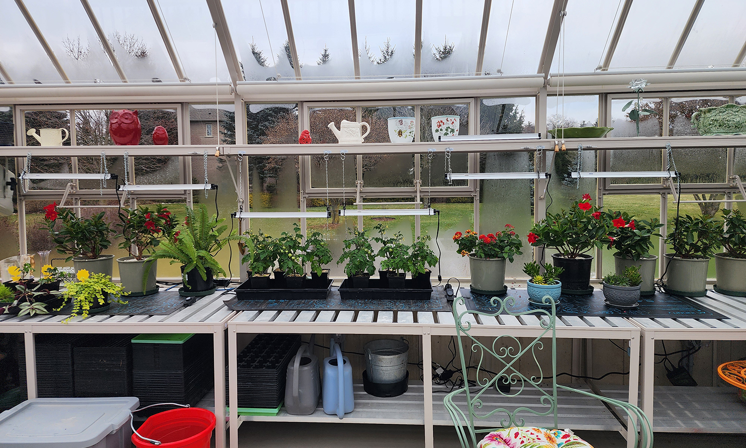 grow lights hanging in the greenhouse