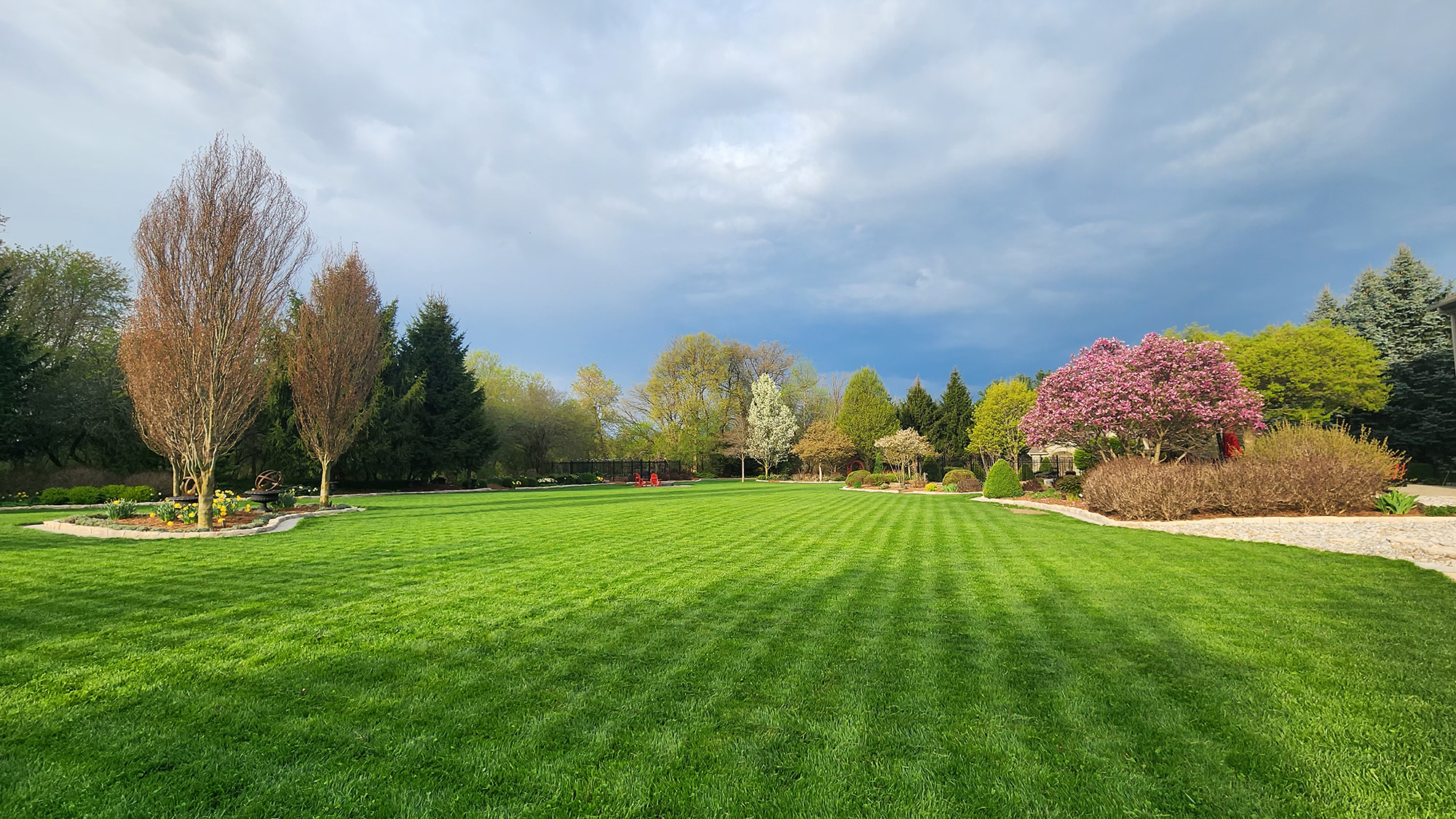 Back yard with blooming spring trees in early May