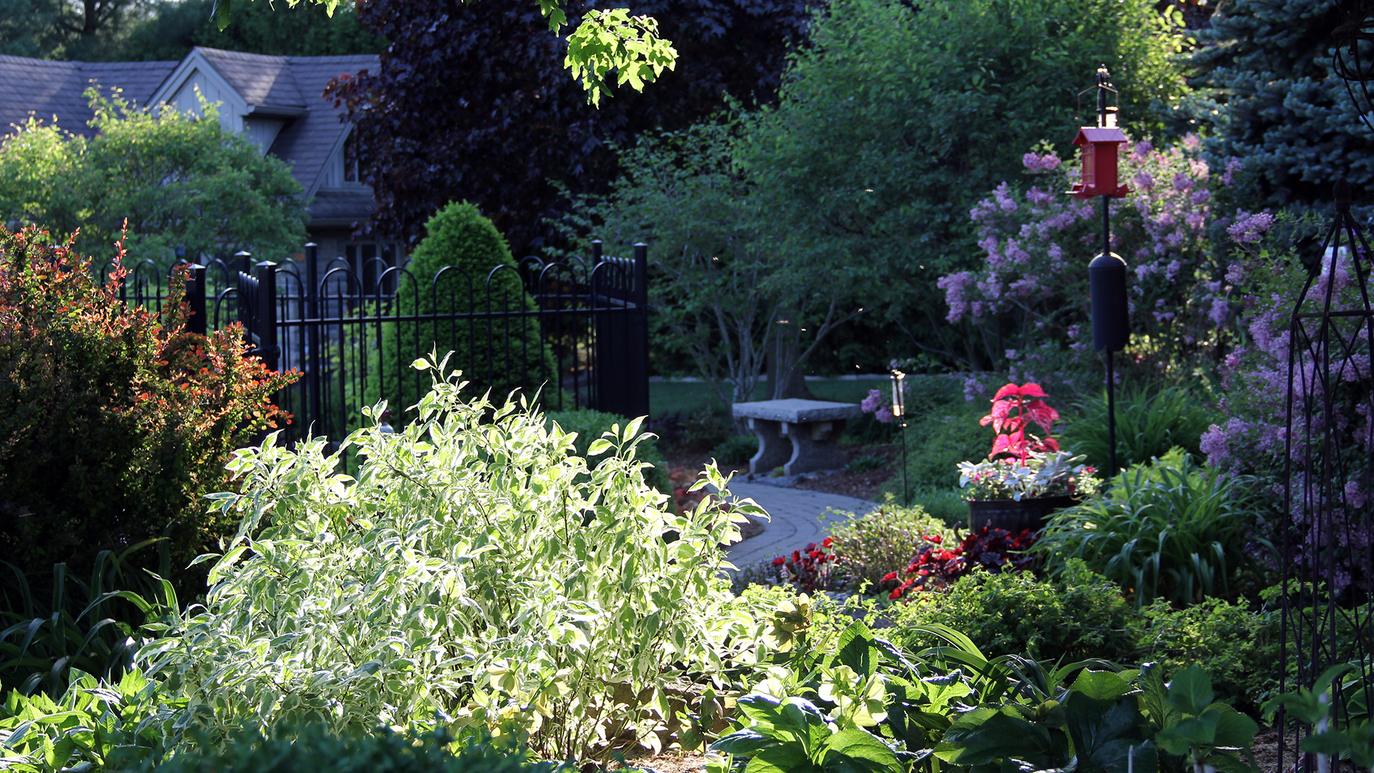 A few of the gardens along the walkway to the barn at dusk